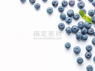 蓝莓,白色背景,分离着色,北蓝越橘,浆果,多汁的,熟的,抗氧化物,清新,有机食品