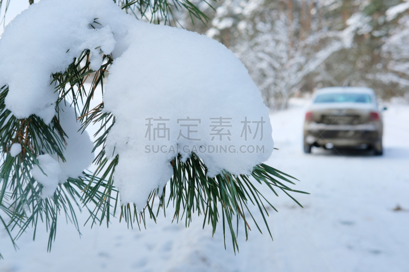 冬天,森林,乡村路,天空,车轮,水平画幅,雪,无人,户外,水禽