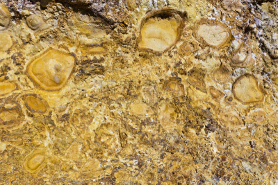 火山岩,黄色,特写,volcanic scoria,圣卢西亚,自然地理,加勒比海地区,自然,地质学,峭壁