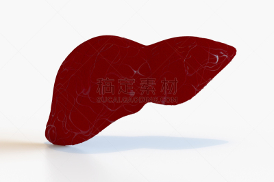 肝脏,三维图形,模型,人类消化系统,胆囊,人,轮廓,红色