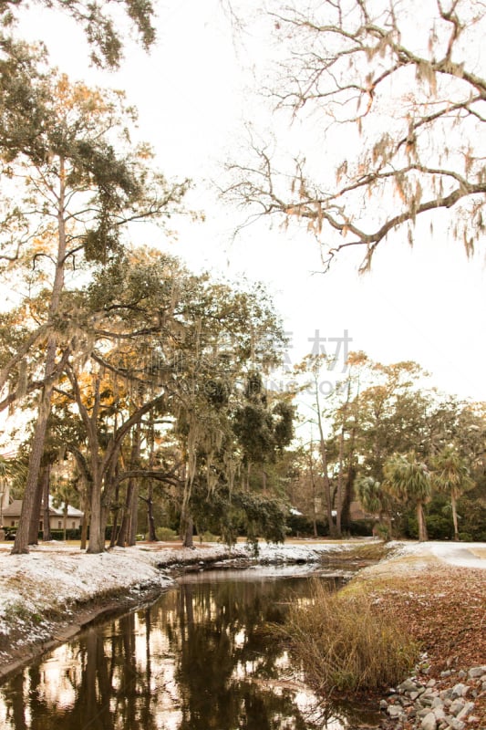 南卡罗来那,希尔顿赫德,大风雪,垂直画幅,水,天空,沙子,林区,雪,光