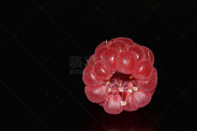 覆盆子,红辣椒,水平画幅,素食,无人,生食,维生素,甜点心,植物,彩色图片