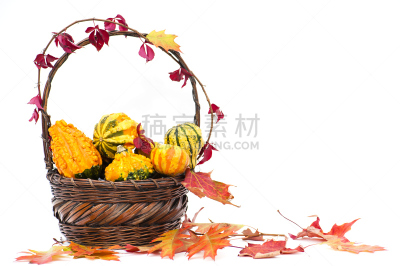 篮子,叶子,枫树,多伦多枫叶队,水平画幅,葫芦,南瓜,干的,农作物,彩色图片
