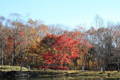 湖,叶子,山梨县,秋天,日本,清里明良,苏格兰高地,水,天空,里山