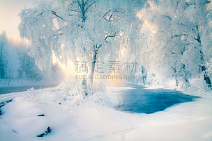 雪,河流,库赫莫,芬兰,看风景,寒冷,环境,霜,天气,童话故事