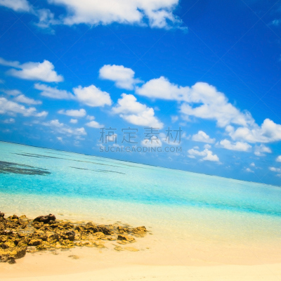 海滩,海洋,鸡尾酒,水上飞机,水,天空,夏天,异国情调,户外,云景