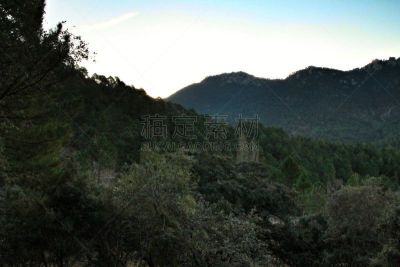 绿色,地形,山,植物群,冬天,山脊,清新,卡索拉,环境,云