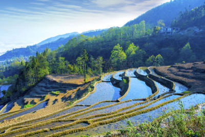 元阳,梯田,云南省,中国,露台别墅,哈尼族,锥形帽,雕塑家,建筑露台,昆明
