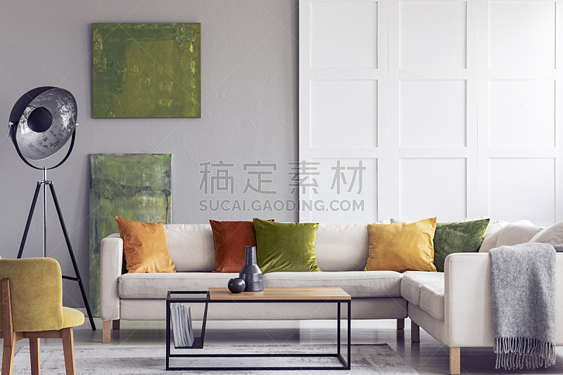 沙发,白色,黄色,灯,室内,枕头,绿色,绘画艺术品,起居室,摄影