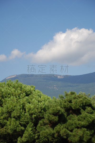 克里米亚,多云,雅尔塔,乌克兰,垂直画幅,水,天空,枝繁叶茂,无人,早晨