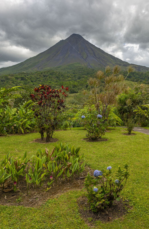 园林,阿雷纳火山,哥斯达黎加,旅途,热带气候,云,户外,开花植物,火山口,庭院