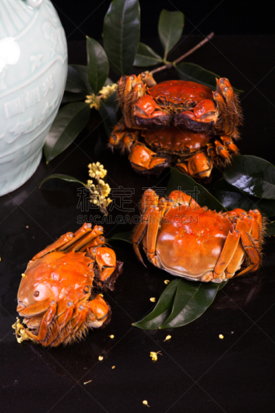 螃蟹,中国,大闸蟹,多毛的,动物毛发,连指手套,垂直画幅,篮子,湖,白色
