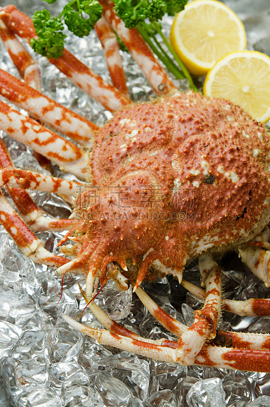 澳大利亚巨蟹,红色,海产,垂直画幅,螃蟹,膳食,食品,图像,无人,甲壳动物