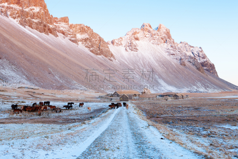 海岬,冰岛国,冬天,海岸线,冰岛赫本,水,洛矶山脉,雪,山脊,风景