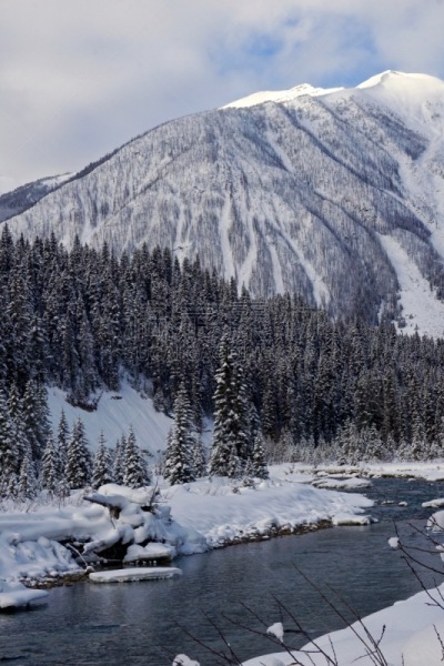 科特奈河,山,前面,垂直画幅,水,洛矶山脉,雪,无人,纯净,户外