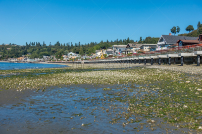 海岸线,河岸,水平画幅,码头,华盛顿州,无人,雷东多比奇,户外,空中走廊,海洋