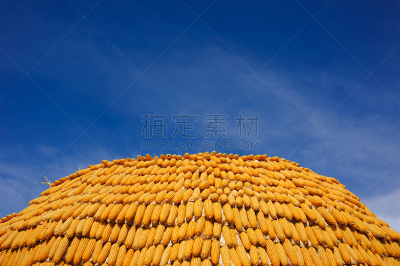 玉米,黄色,山,自然,天空,水平画幅,蓝色,有机食品,夏天,户外