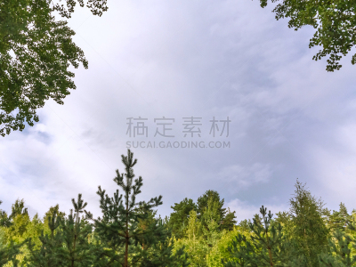 夏天,自然,云,边框,天空,背景,枝繁叶茂,留白,可爱的,草坪