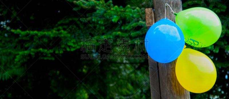 气球,色彩鲜艳,线绳,针叶,木材,稳定,水平画幅,绿色,无人,蓝色