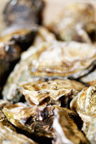 牡蛎,垂直画幅,图像聚焦技术,选择对焦,饮食,无人,有机食品,海产,特写,静物