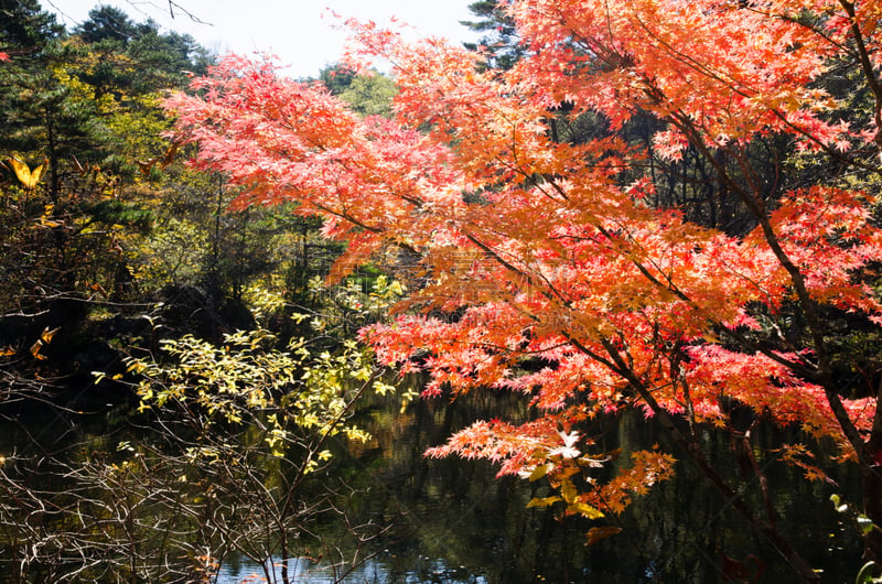 格希奇努麦,福岛里,福岛县,秋天,日本,北盐原,水平画幅,无人,户外,湖