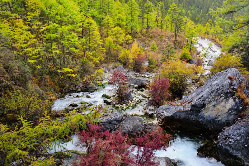 小溪,色彩鲜艳,山谷,二进制码,甘孜藏族自治州,水,水平画幅,雪,无人,户外