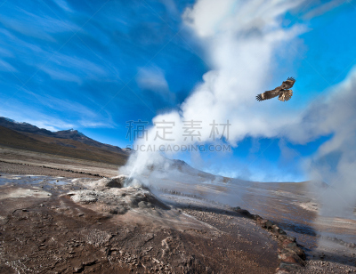 阿塔卡马沙漠,智利,间歇泉谷,旅途,热,超现实主义的,浓烟,鸟类,沙漠,户外