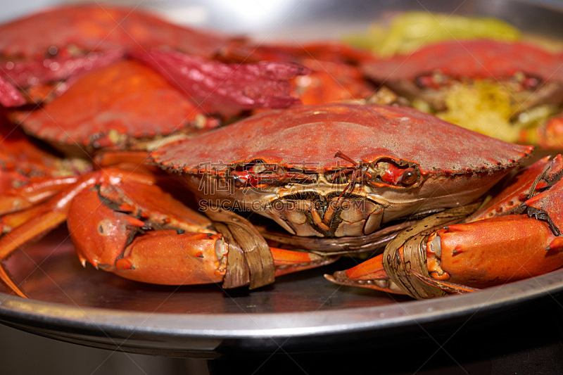螃蟹,蒸菜,锅,特写,绳子,水,水平画幅,膳食,海产,泰国