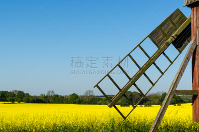 古老的,田地,风车,油菜花,花朵,天空,美,风,水平画幅,无人