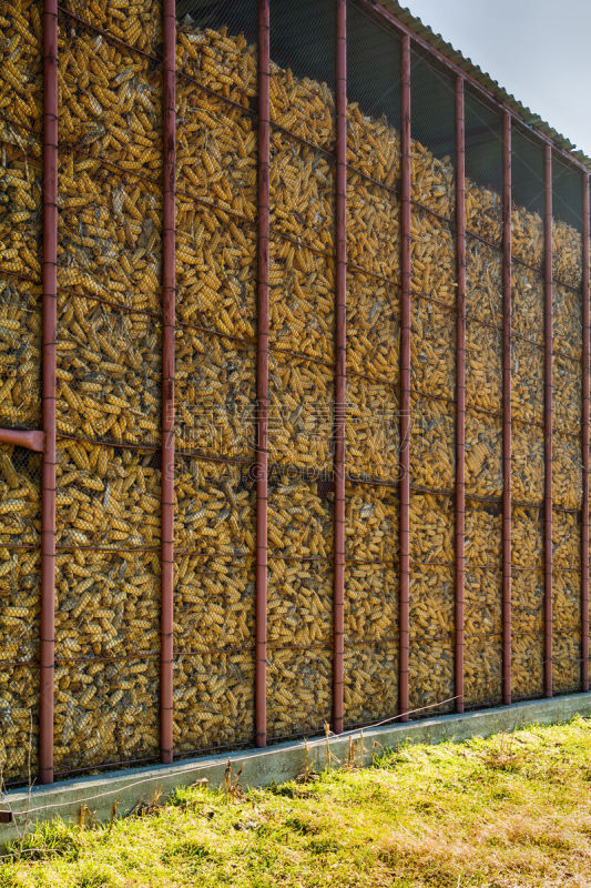 garner for corn