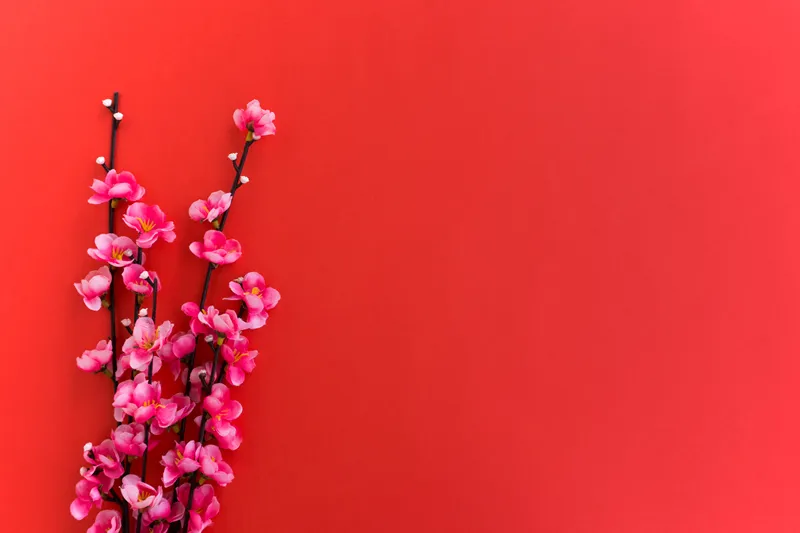 赤花头 赤花头图片 赤花头素材下载 稿定素材 赤花头 赤花头图片 赤花头素材下载 稿定素材