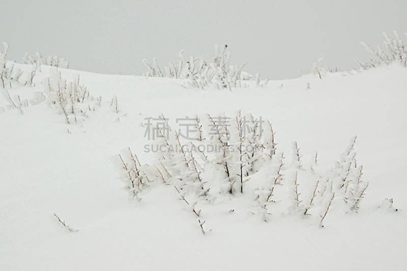 冻结的,自然美,植物群,西西里,火山地形,水,新的,暴风雨,水平画幅