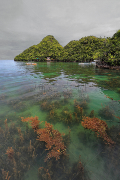 菲律宾,船,岛,固定的,海湾,垂直画幅,水,云,沙子,林区