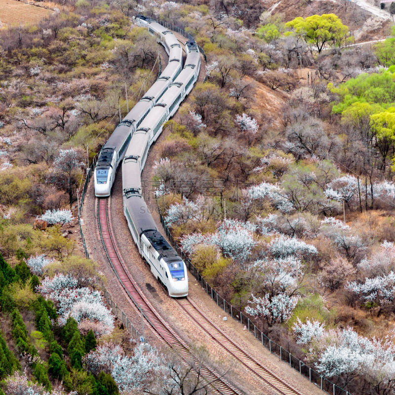 北京,火车,樱之花,高速列车,交通,樱桃,自然美,春天,3到4个月,铁轨轨道