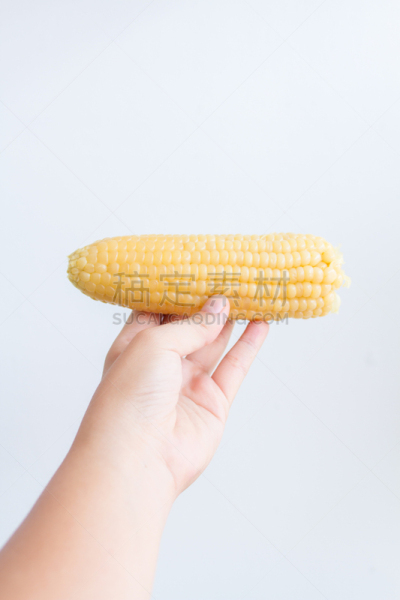 玉米,有机食品,黄色,蔬菜,清新,垂直画幅,饮食,食品,图像,色彩鲜艳