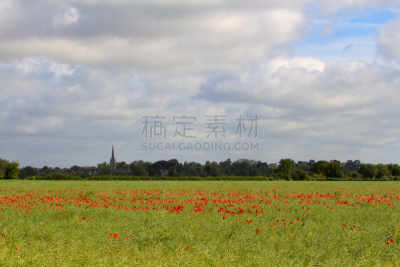 勒克雷,科茨沃尔德 ,夏天,田地,英国,从上面看过去,在边上,栽培植物,格洛斯特郡,天空