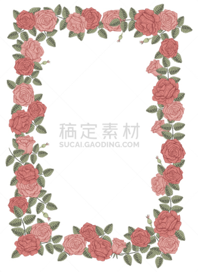 玫瑰,矢量,请柬,多色的,垂直画幅,叶子,绘画插图,美,贺卡,边框