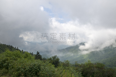 蓝色山脊山脉,蓝岭公路,北卡罗来纳,水平画幅,枝繁叶茂,山,无人,夏天,户外,云景