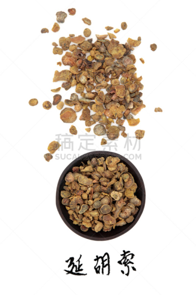 紫堇,根茎类蔬菜,中医,垂直画幅,笔迹,无人,非西方字母,白色背景,文字,草药