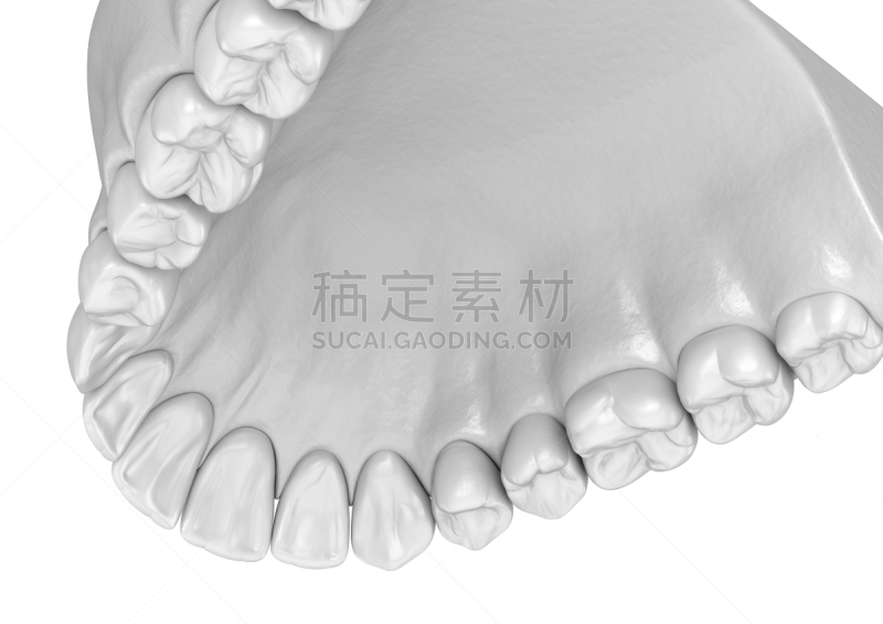 绘画插图,人,牙齿,三维图形,准确,人的牙齿,口腔卫生,健康保健,形态学,二叶