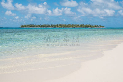 棕榈树,海滩,岛,白沙国家纪念馆,鸡尾酒,热带气候,环境,天气,动物,春天