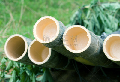 干的,竹,水平画幅,无人,巨大的,生食,特写,建筑业,部分,植物