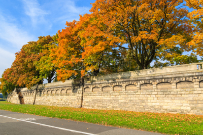 Bike lane along colourful trees in city park of Krakow on sunny autumn day, Poland