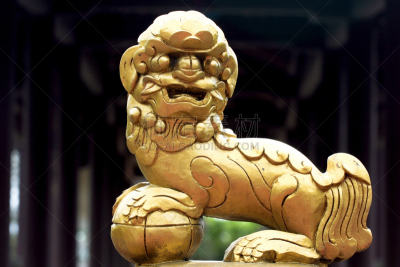 雕像,狮王,黄金,水平画幅,无人,古老的,雕刻术,装饰,摄影