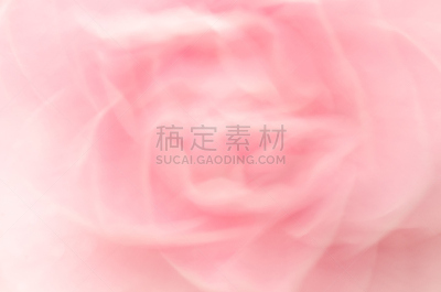 茶花,春天,抽象,运动模糊,重瓣花,天空,水平画幅,无人,特写,柔焦