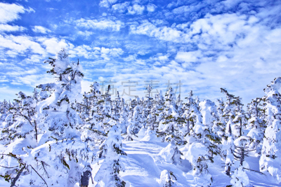 霜,天空,留白,山之内町,里山,水平画幅,雪,长野县,无人,纯净