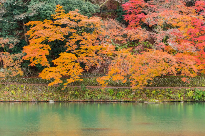 河流,秋天,叶子,嵯峨野,片山,岚山,京都府,里山,水平画幅,无人
