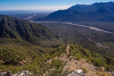 沙伊顿,巴塔哥尼亚,智利,火山,死亡乐队,死亡的植物,全景,大特写,爆发,树