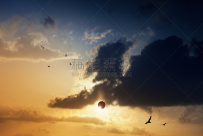 秘密,自然现象,非凡的,日食,天空,水平画幅,无人,鸟类,日月食,科学
