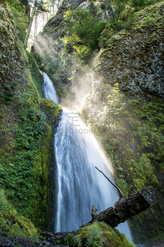 俄勒冈州,哥伦比亚河谷,wahkeena waterfall,垂直画幅,水,美,俄勒冈郡,瀑布,无人,户外